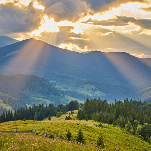 България